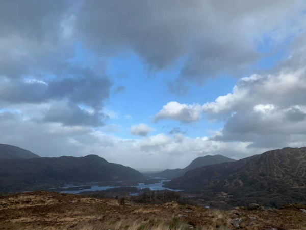 March Newsletter - A Month of Expectation