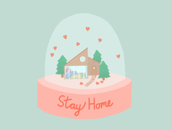 TSMD - December Newsletter - Stay Home!