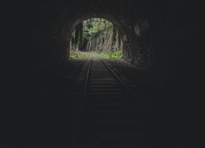 January 2021 Newsletter - Momentous Occasion