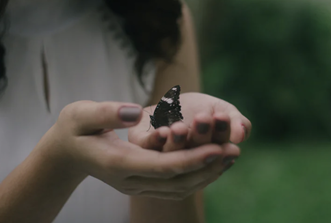 Being Gentle—With Ourselves &amp; Each Other  