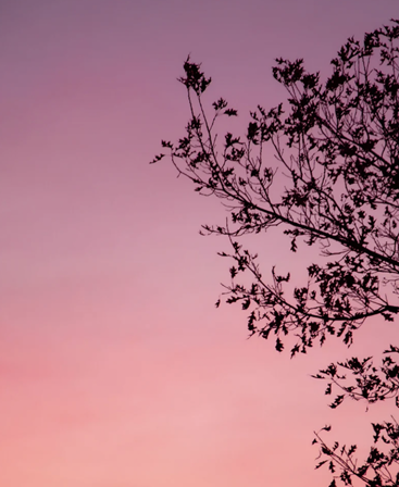 Happy Summer Solstice 