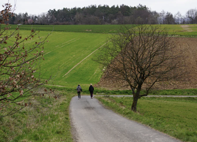 Navigating COVID Comfort Levels