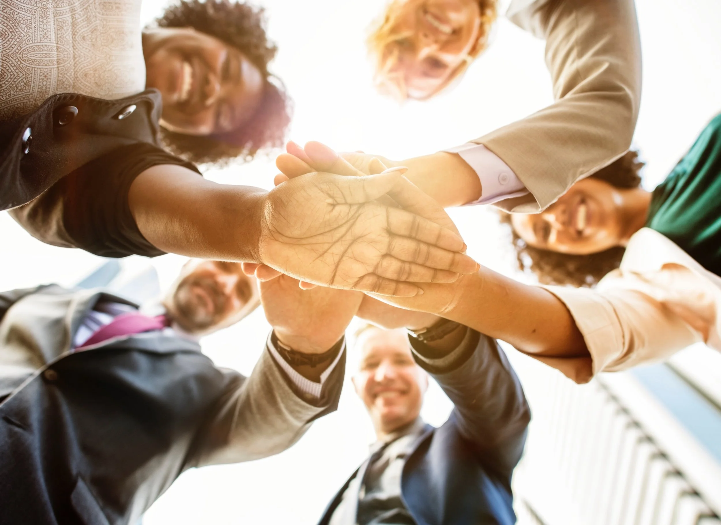 2019 Board of Directors Elections