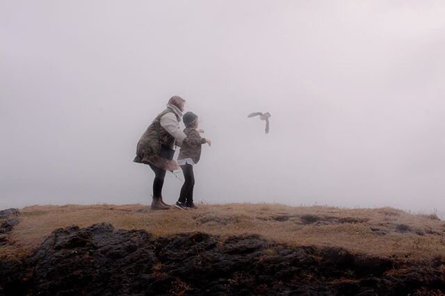 Some images from last fall in Iceland... finally had some time to go through them and edit. No matter where you go, it&rsquo;s the acts of compassion that stick with you. These are images of Icelanders releasing puffins back into the wild. It is comm