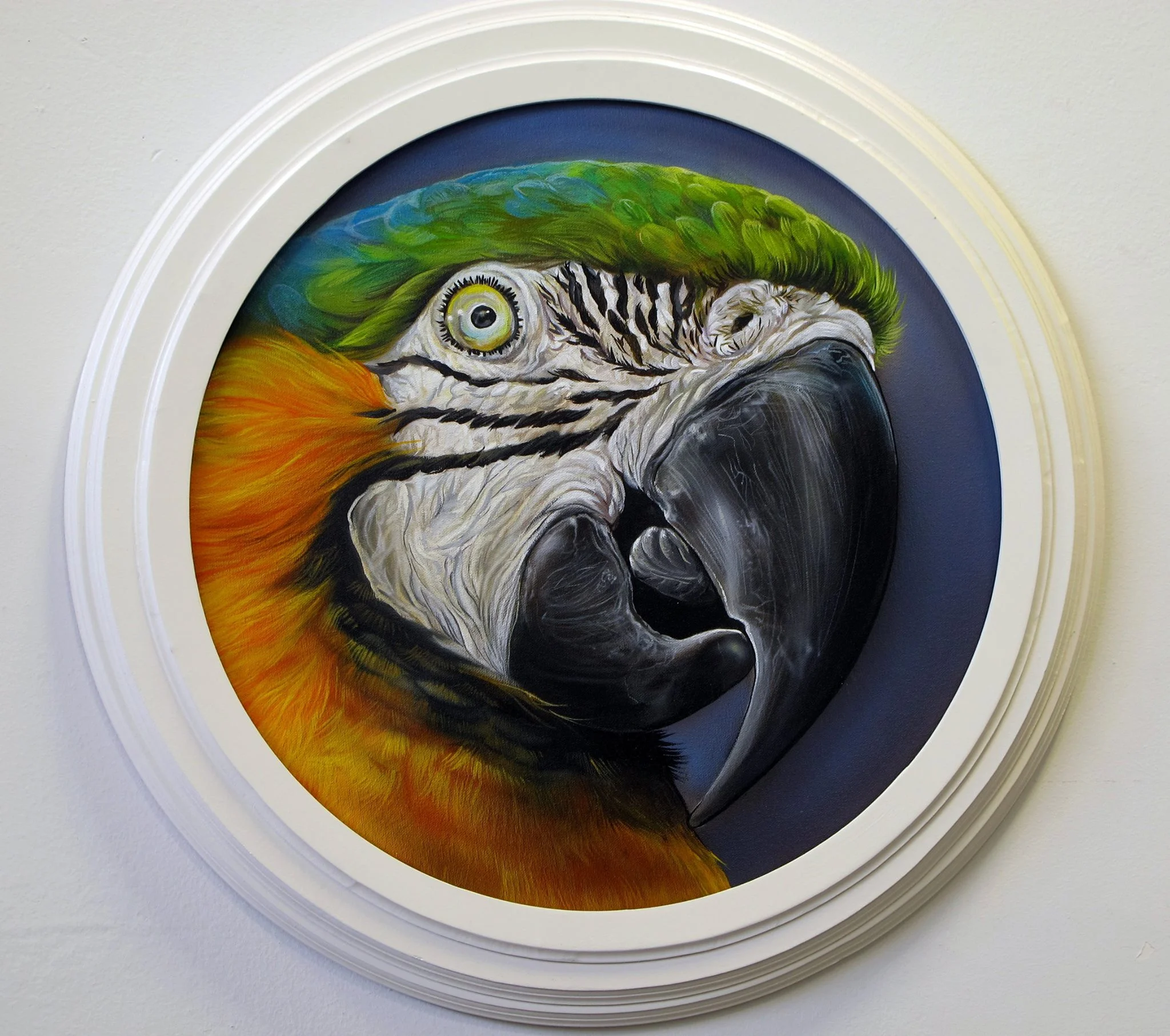 parrot.jpg