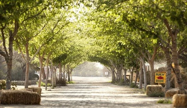 Photo credit: Schnepf Farms Venues