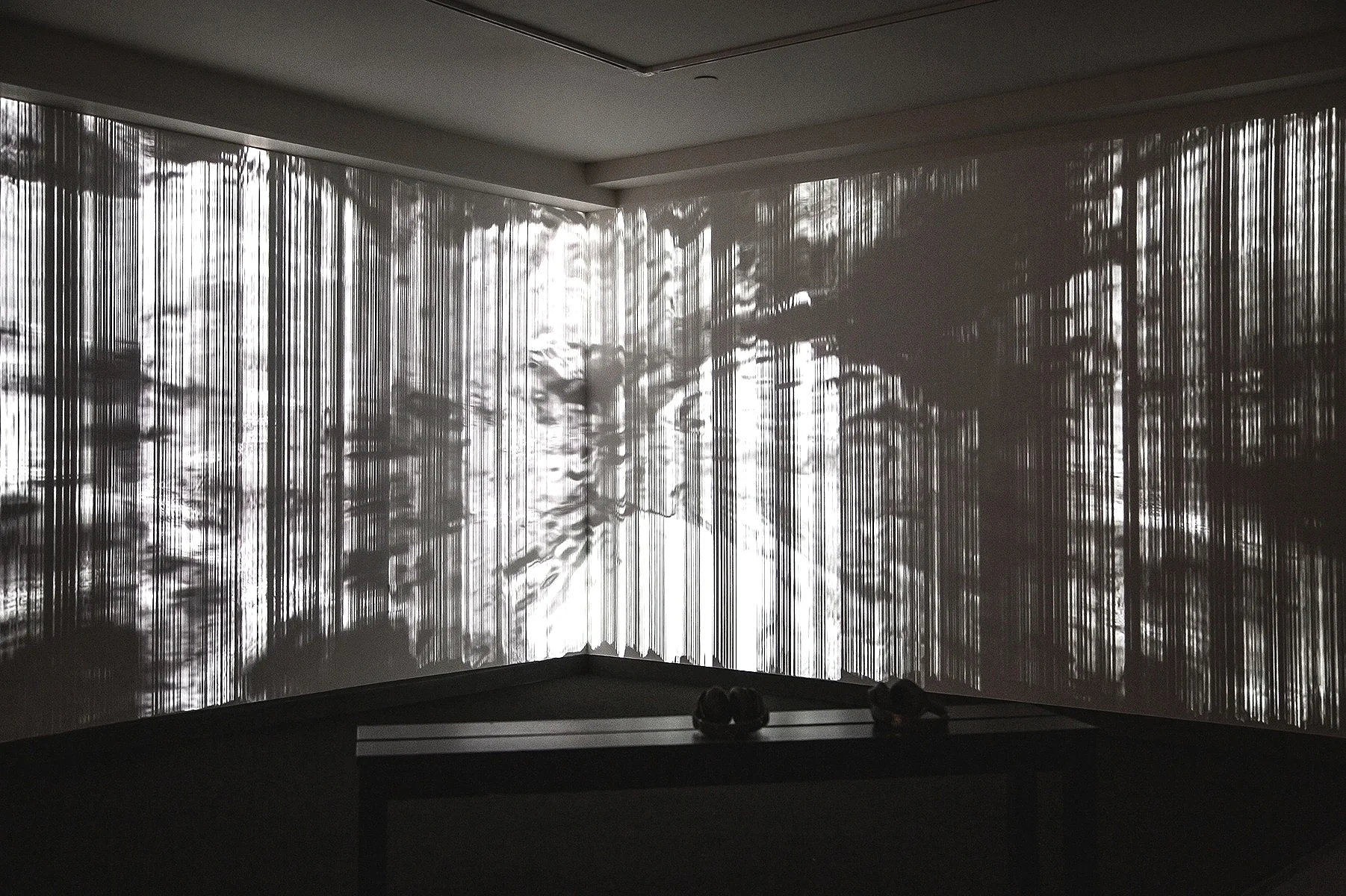 Installation photo, Fridman Gallery, New York, US, 2019