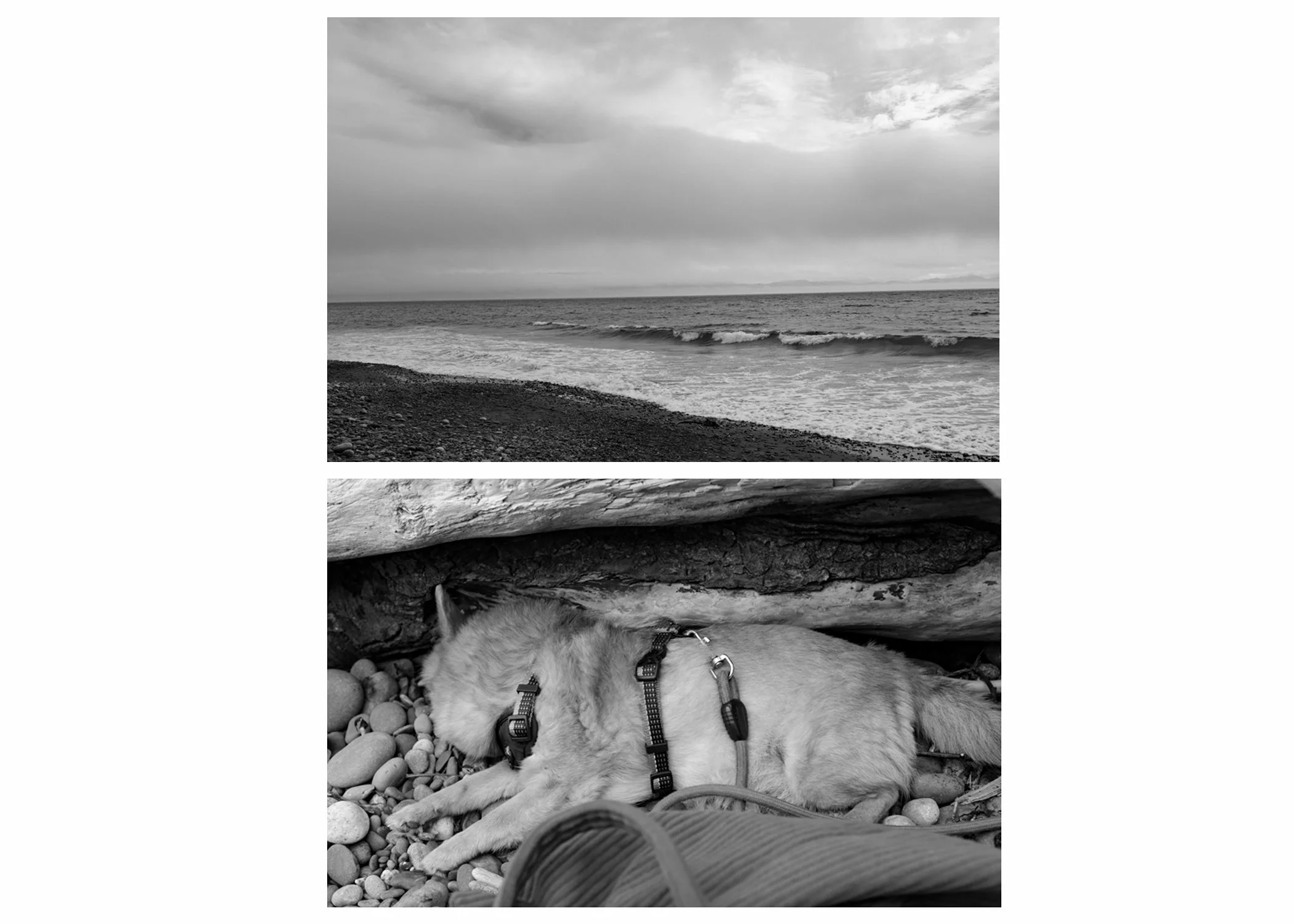 070726_tide.jpg
