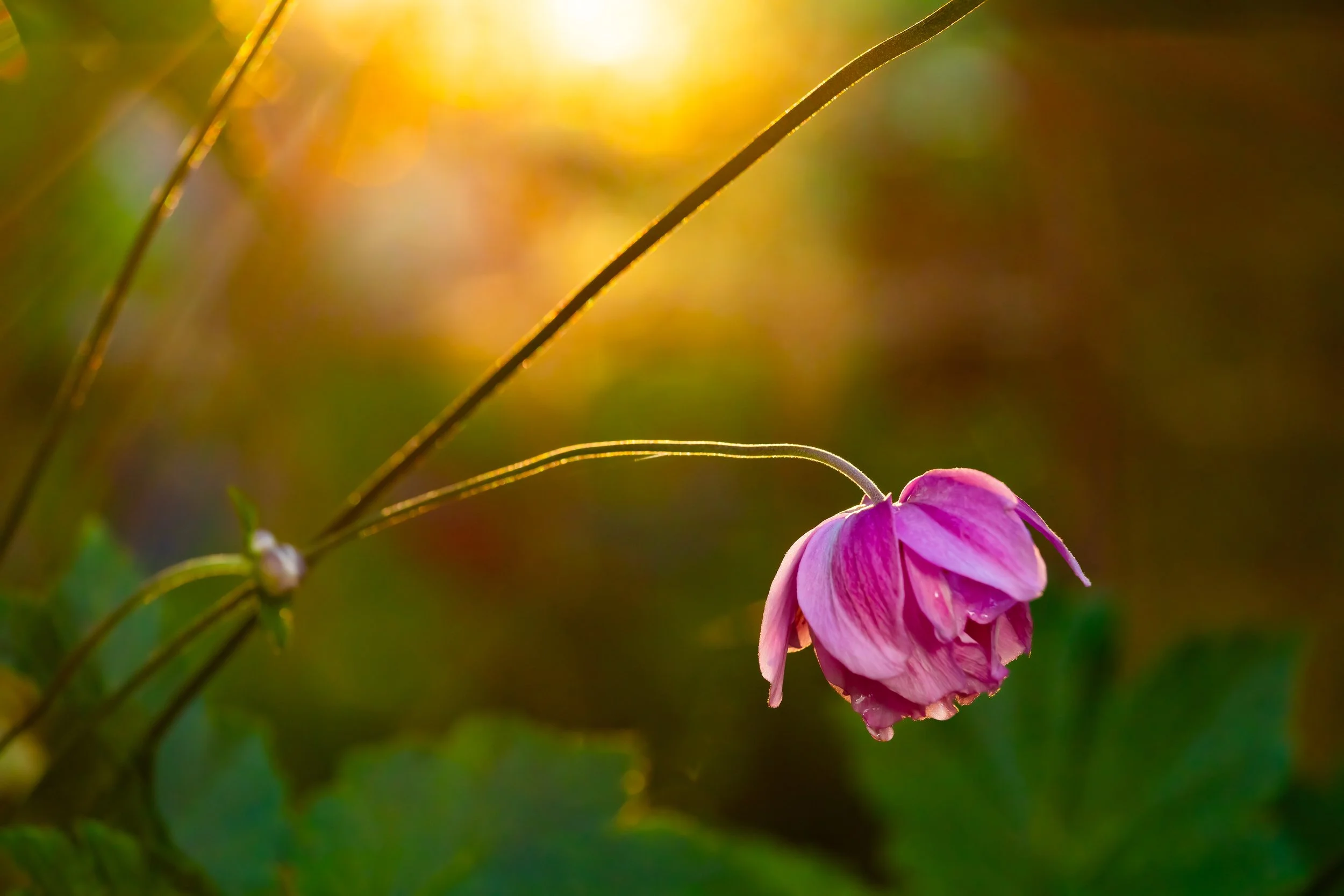 340A0086-Edit-Edit.jpg