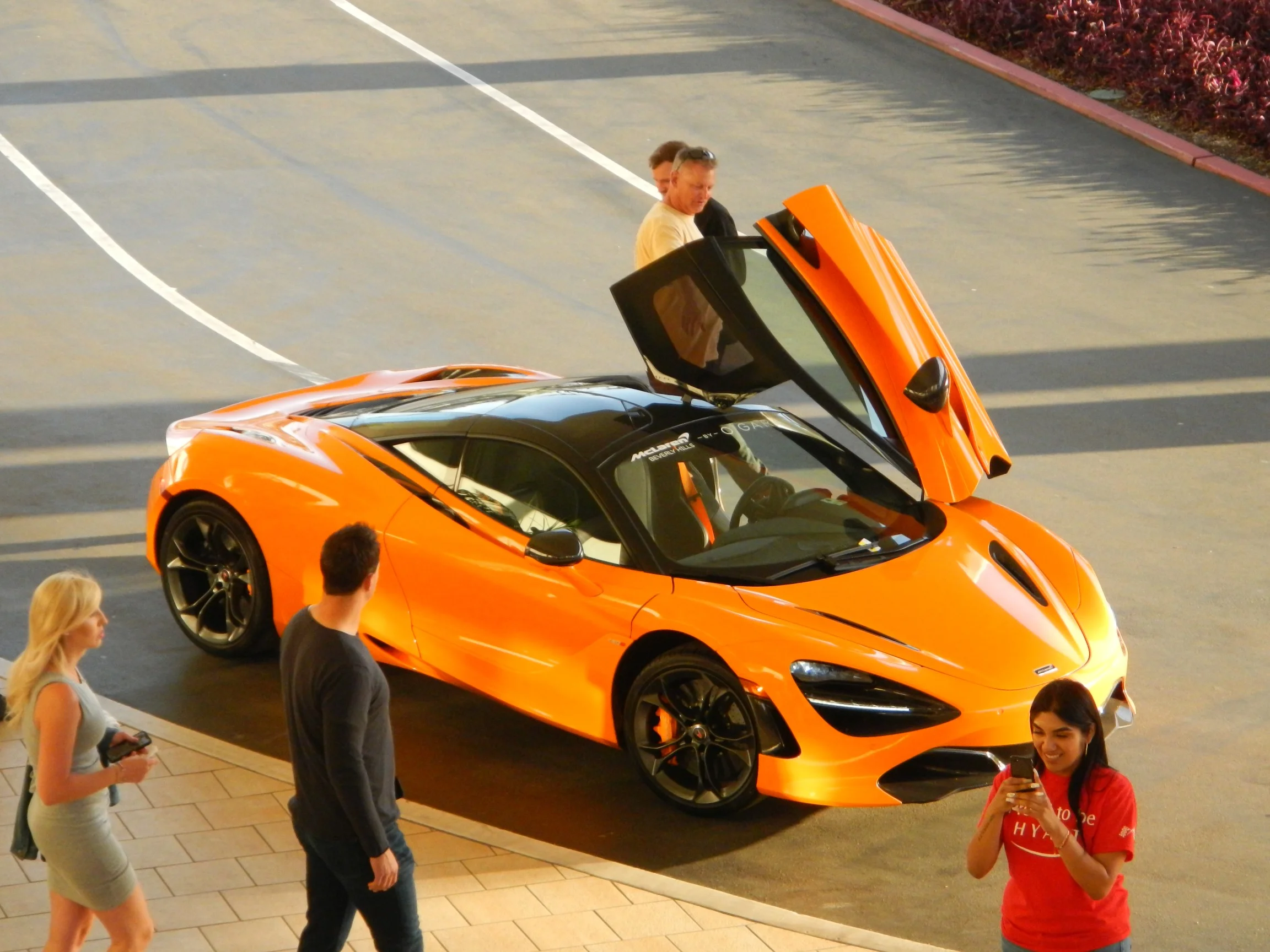 DSCN1678.jpg