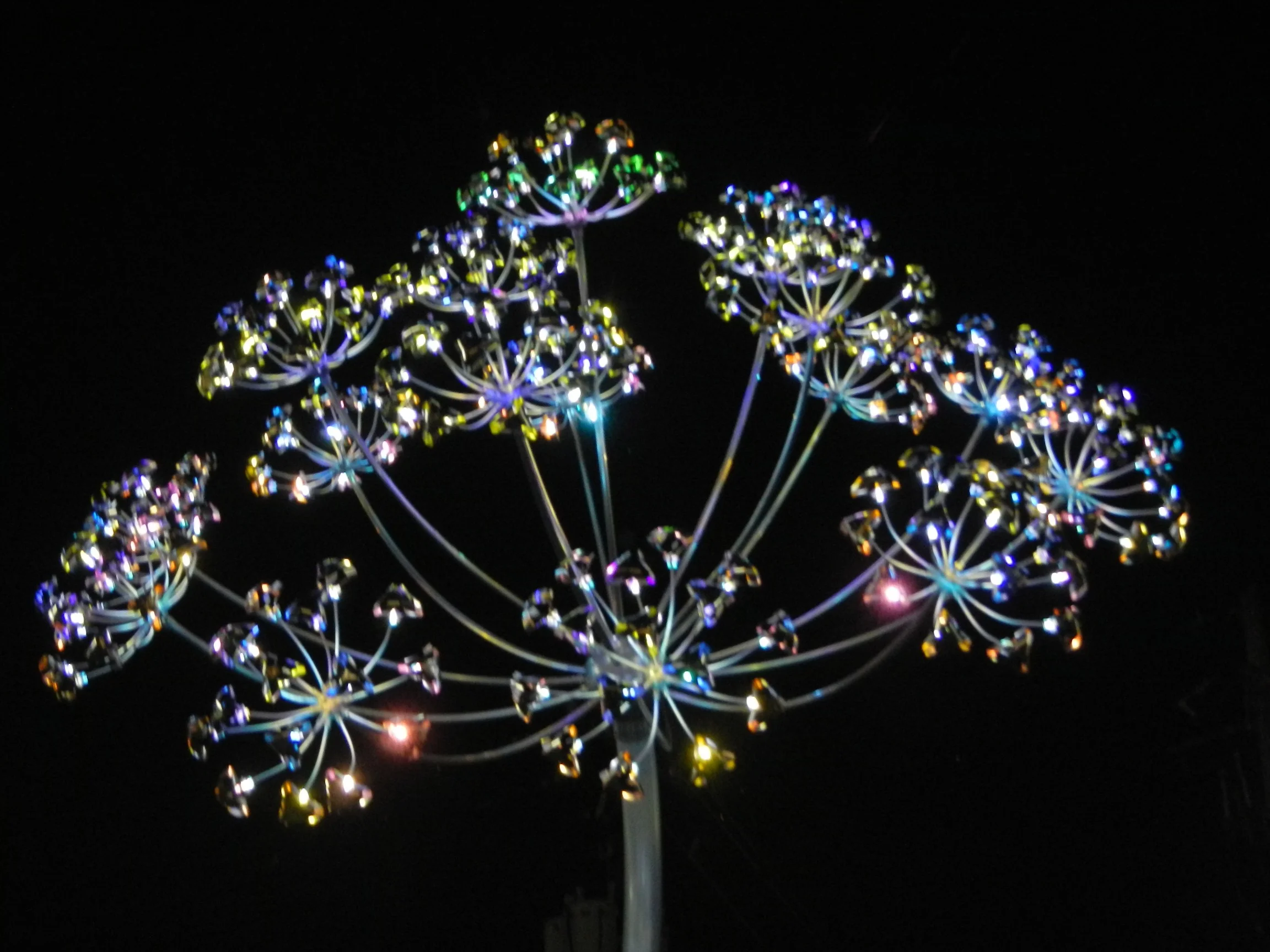 DSCN1830.jpg