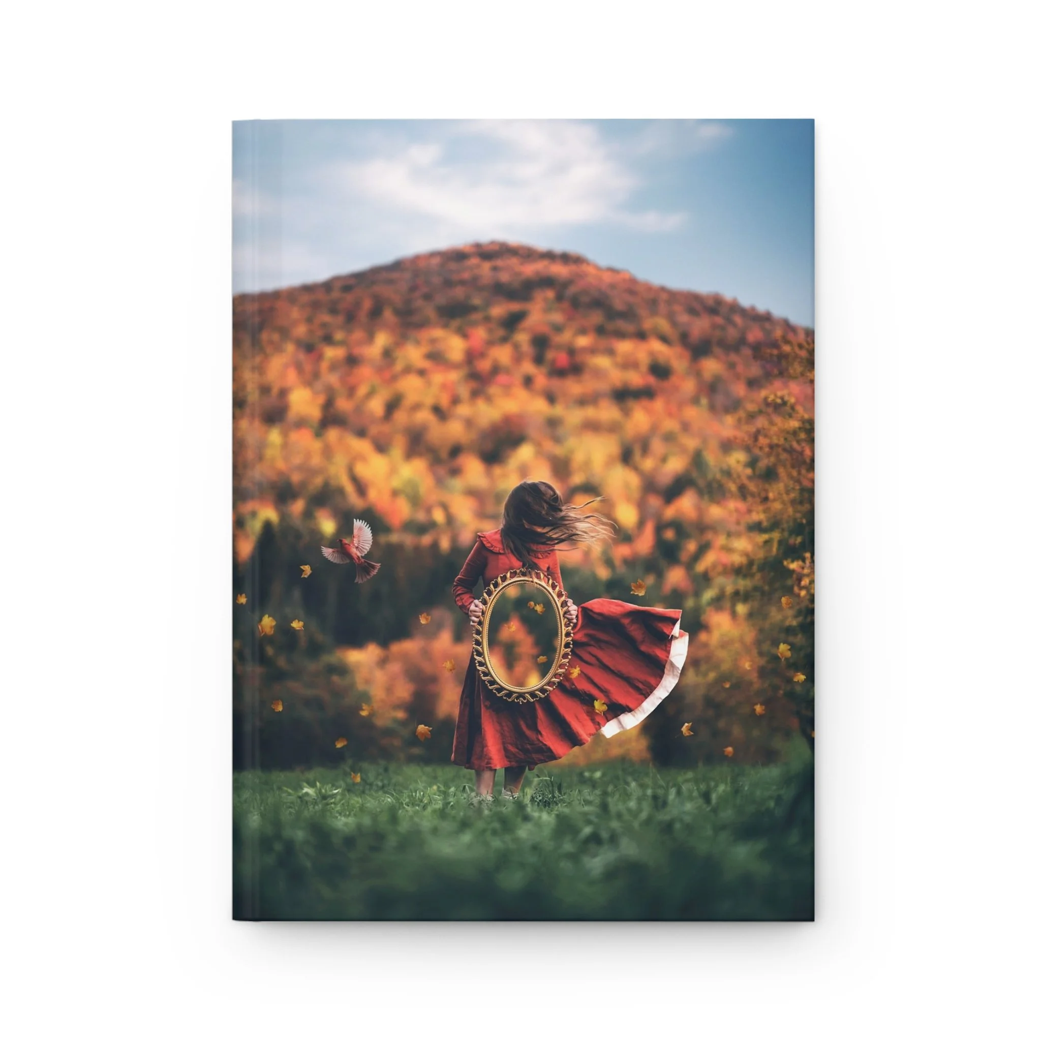 953cc17d956b64b250ba21301aa64b14