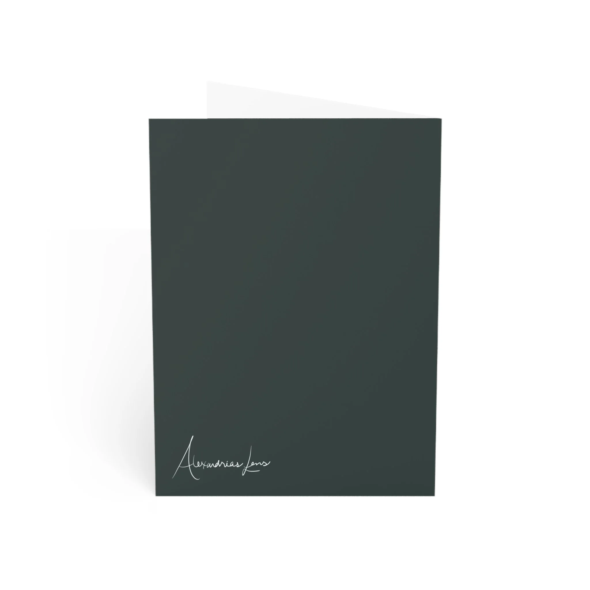 9d0faf6787cbe0dcc947d7ef9337976b