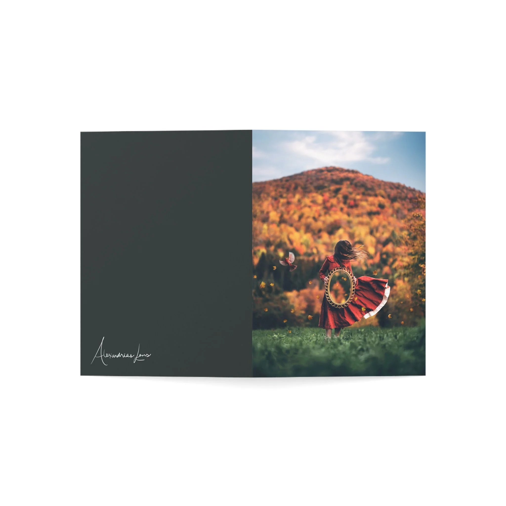 4472e78422033bb41144303598cec67c