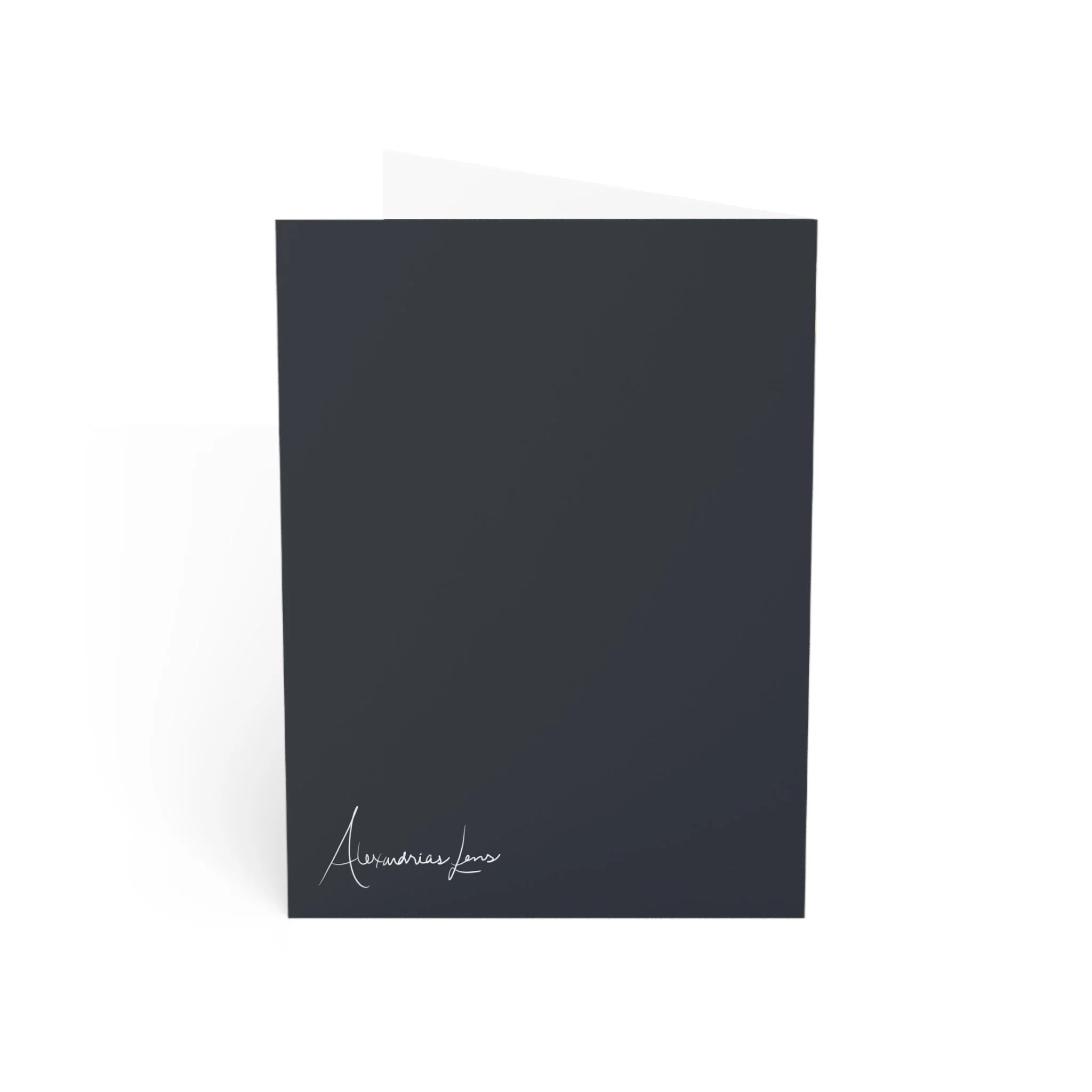 e3ca528946510e4557f38296ef60e398