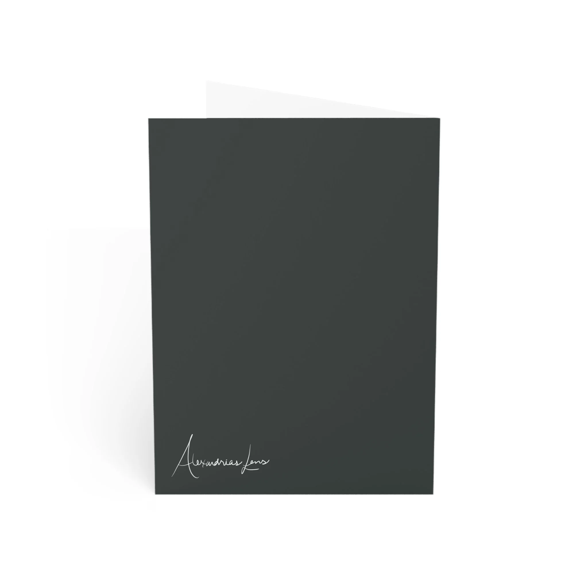 704e1ecfe1aaa14120f8780c69a860f2