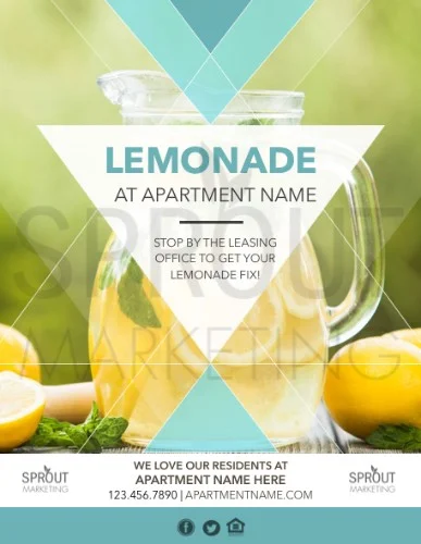 21422-Lemonade-3.jpg