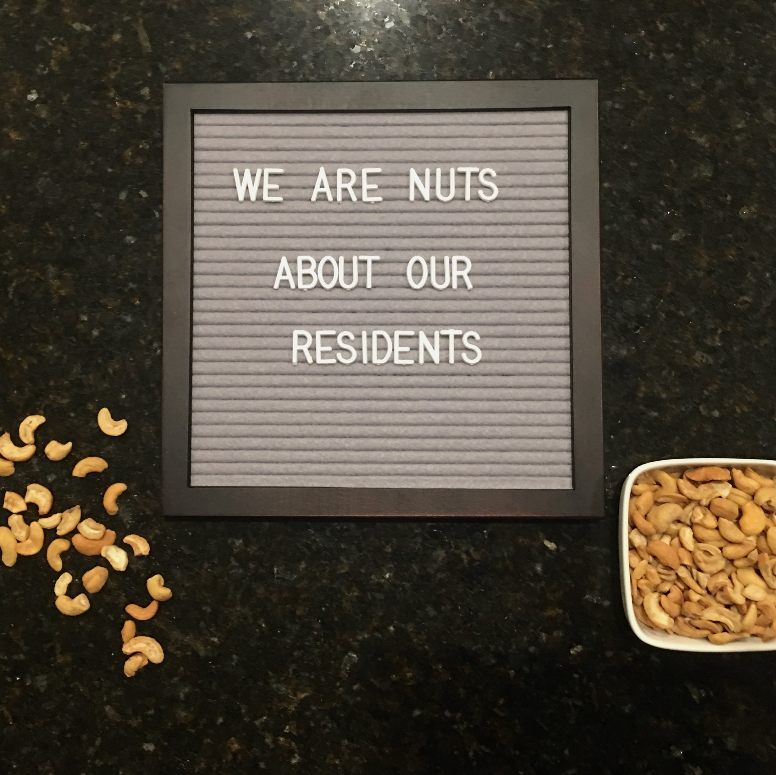 LB3 Nuts for Residents Square.jpg
