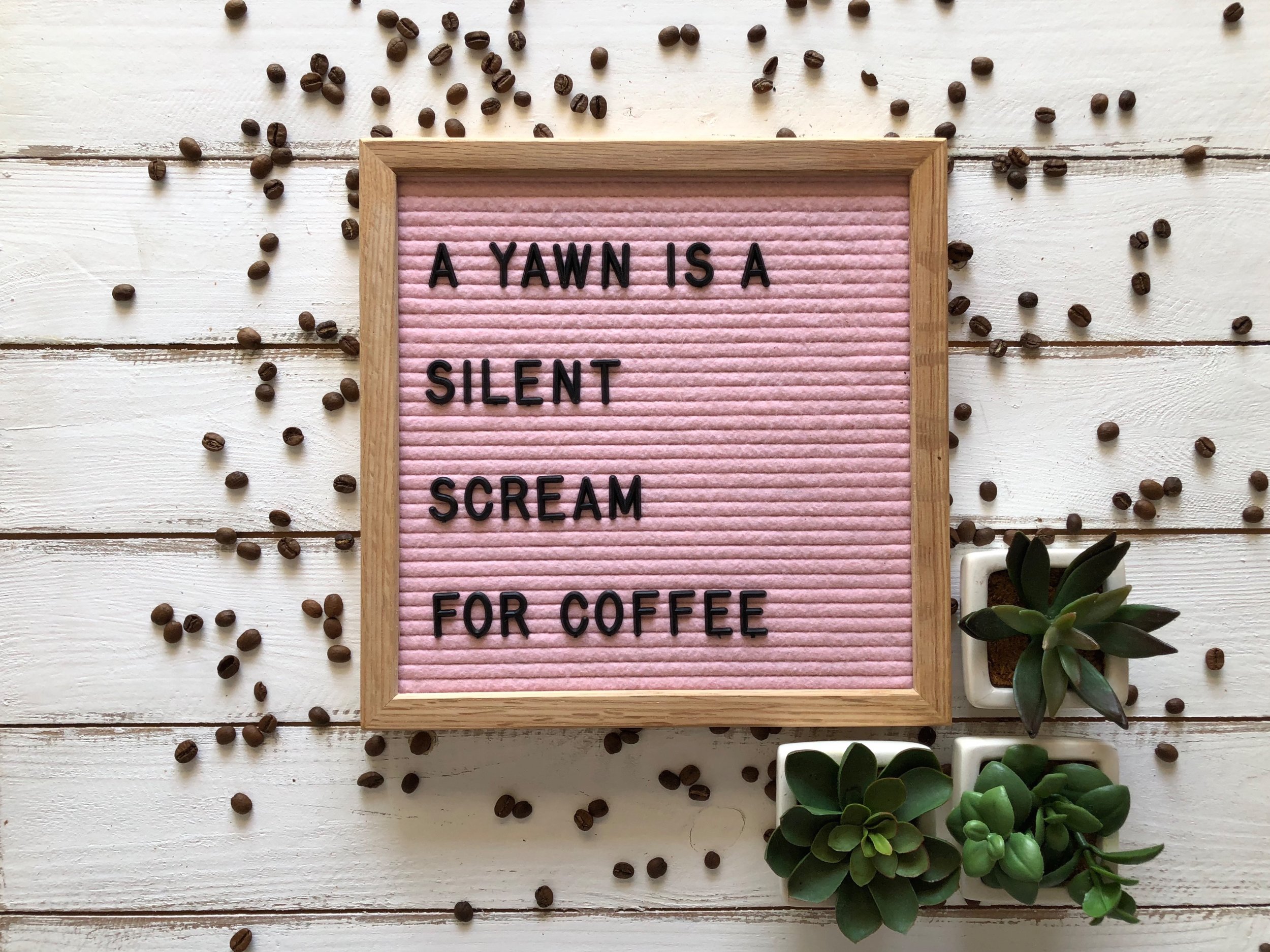 LB16 Coffee Landscape.jpg