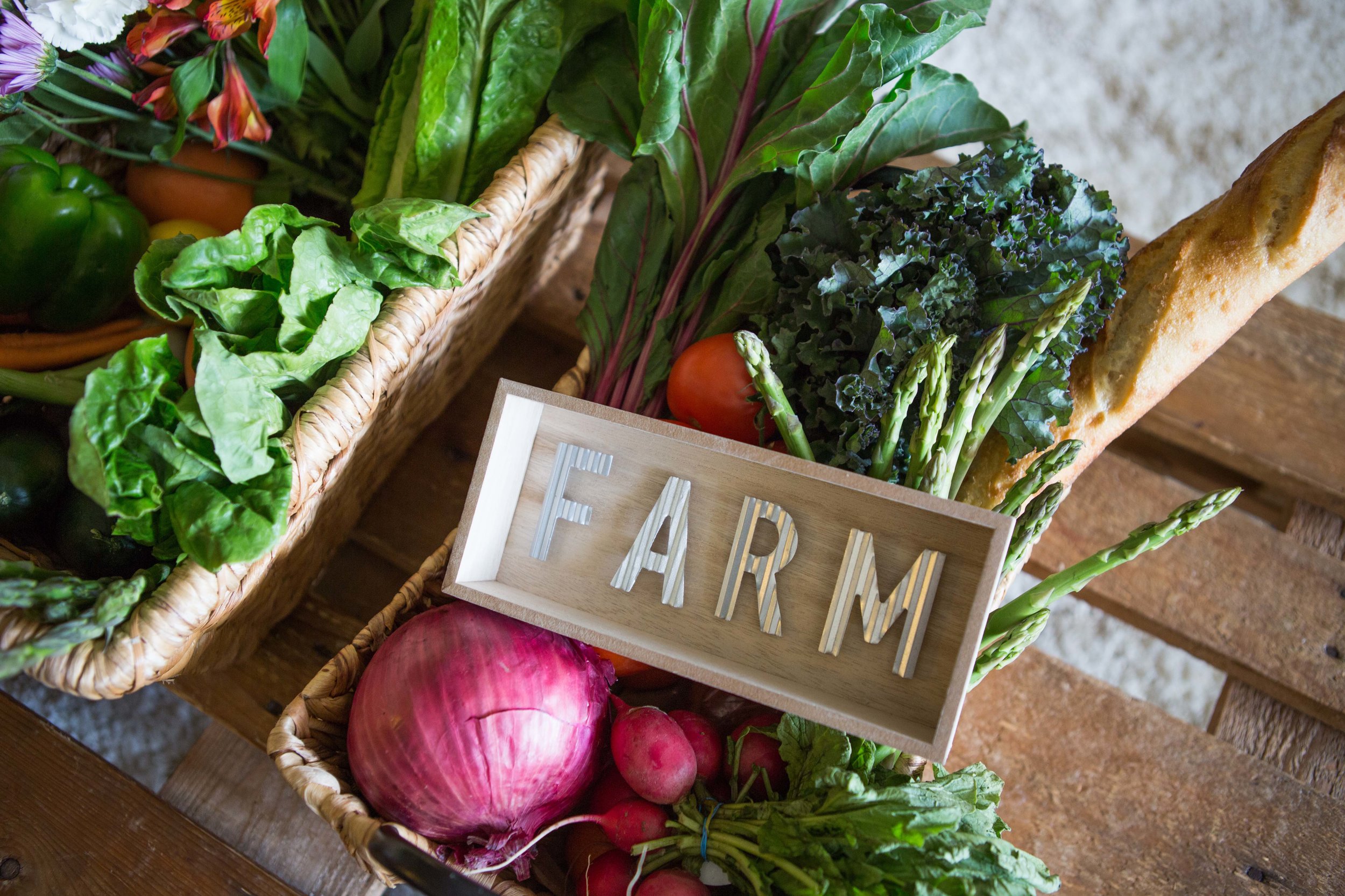 SproutStockLowResCP9A6207.jpeg