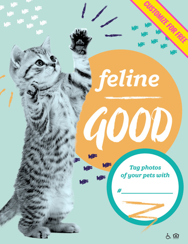 60000-All Pets FC Feline Good.jpg