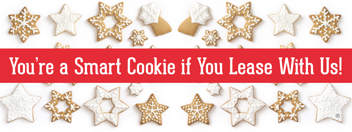 7345-SmartCookieWinterFBCover.png