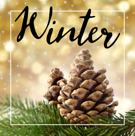 00-WinterPine2SMSquare2.png