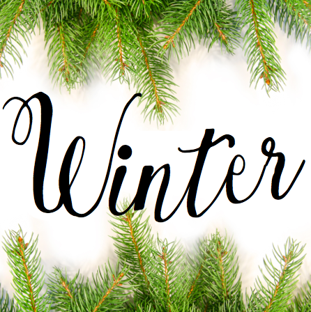 00-WinterPineSMSquare5.png