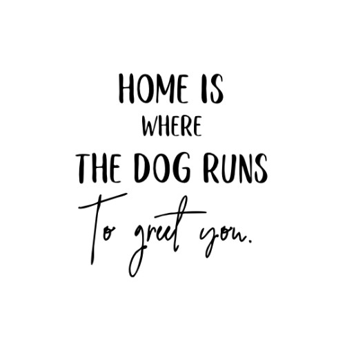 IG3960-Quote Dog Runs SMS.jpg