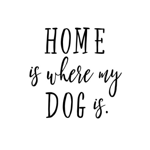 IG3966-Quote Home Dog SMS.jpg