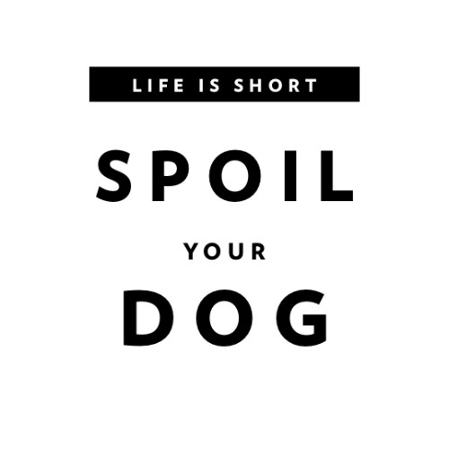 IG3970-Quote Life Short SMS.jpg
