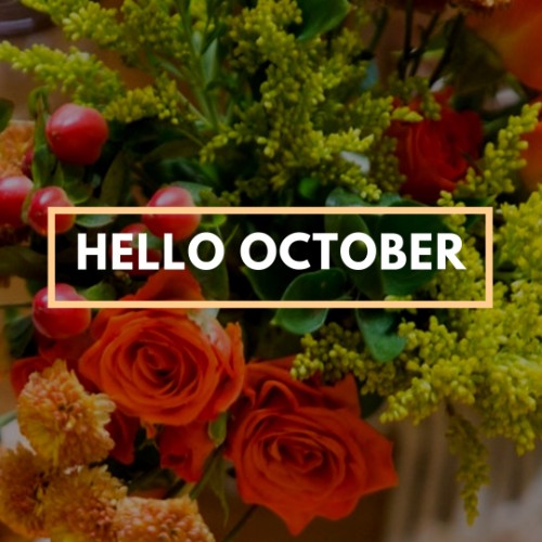 IG4011-Hello October.jpg