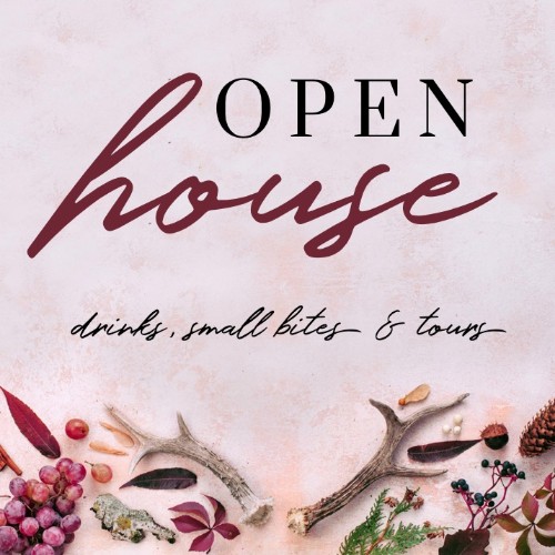 IG4031-RE Meet And Greet Open House Digital Graphic.jpg