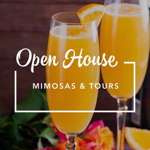 IG4033-RE Mimosas Open House Digital Graphic.jpg