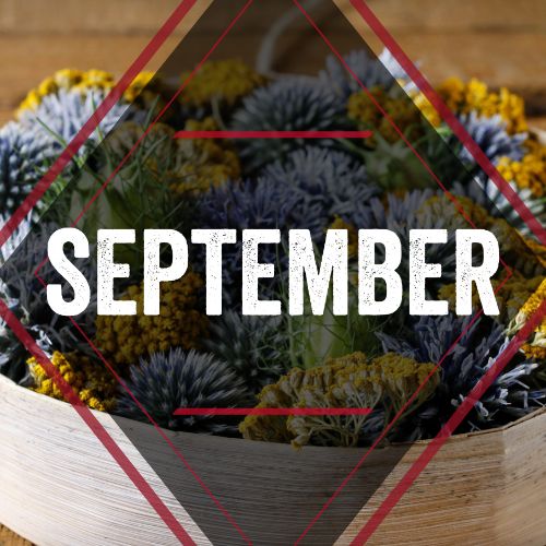 IG5722-Fall Lights FC September Digital Graphic.jpg