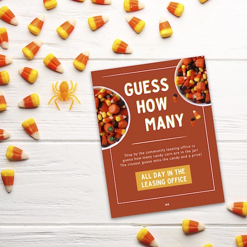 IG5874-OCT19 DD Guess How Many Mock.jpg