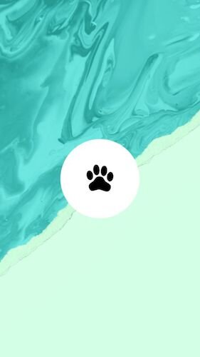 IGS409-IGStory Highlights Bright Pets.jpg