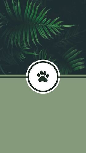 IGS425-IGStory Highlights Lush Pet.jpg