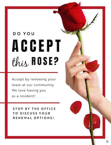 61671-Renew Rose.jpg