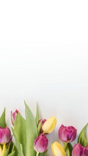 IGS455-IGStory Fresh Picked FC Background.jpg