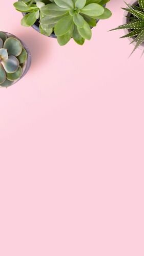 IGS456-IGStory Lovely FC Background.jpg