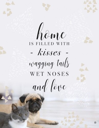 61682-Best Show FC Quote Sign Small Dogs.jpg