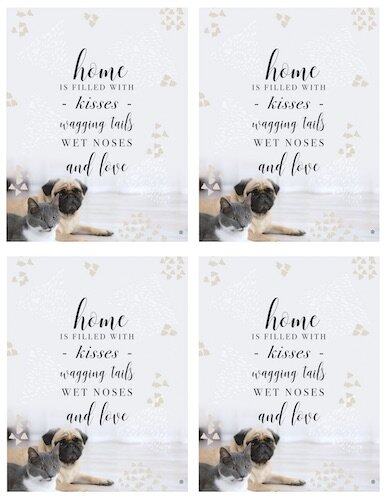 61683-Best Show FC Quote Sign Small Dogs4.jpg