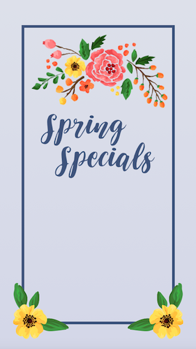 IGS461-IGStory Spring Fest Outreach Background.png