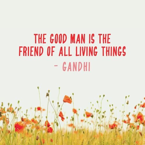 IG6733-Earth Gandhi Quote Digital Graphic.jpg