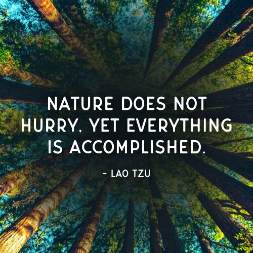 IG6734-Earth Lao Quote Digital Graphic.jpg