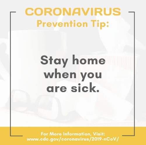 IG6746-Corona Flu Tip Home Digital Graphic.jpg