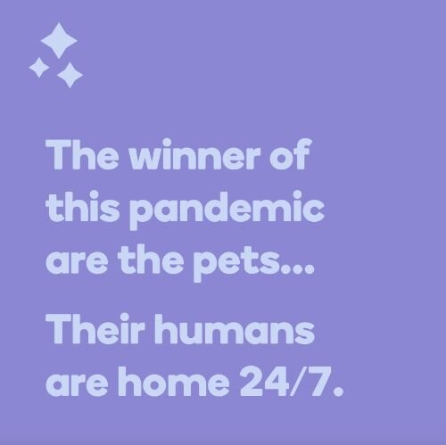 IG6794-Pets Wine Digital Graphic.jpg