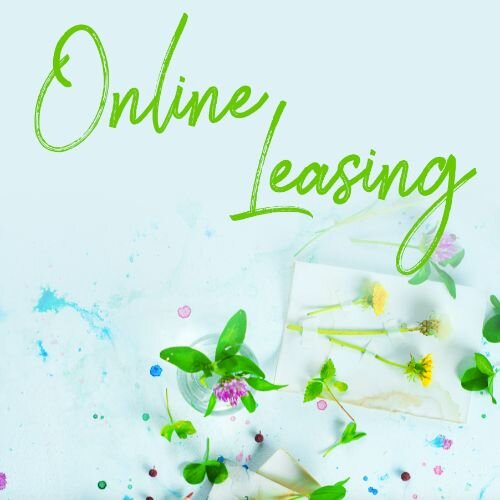 IG6823-Dandelion Online Leasing.jpg