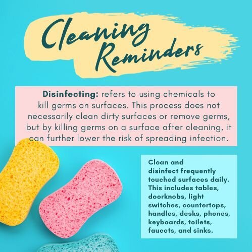 IG6927-What is Disinfecting Digital Graphic.jpg
